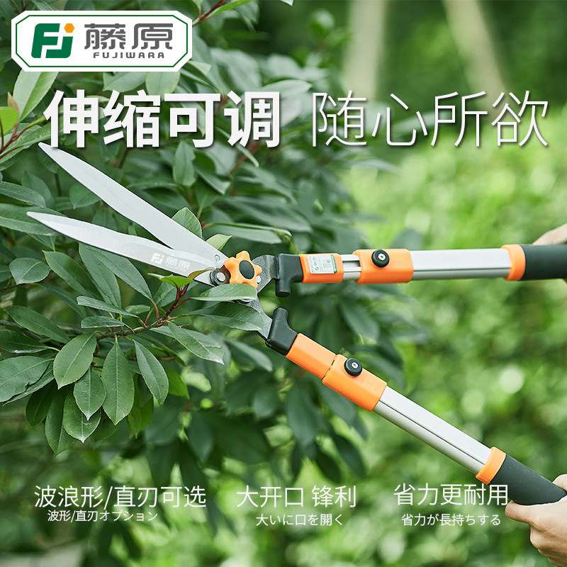 藤原修枝剪绿篱剪树枝剪草坪篱笆修剪园林剪工具可伸缩省力大剪刀