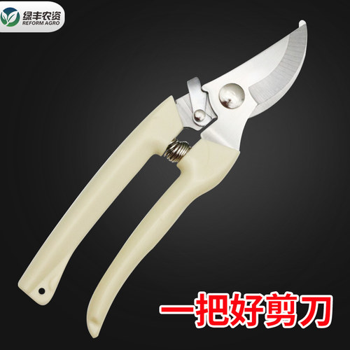 花卉园艺剪刀果树园林修枝剪家用工具手柄果枝月季花园草坪剪枝剪