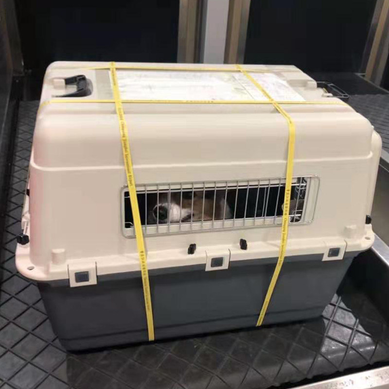 宠物航空箱狗狗猫咪旅行箱空运托运箱中大型犬运输猫笼子便携外出