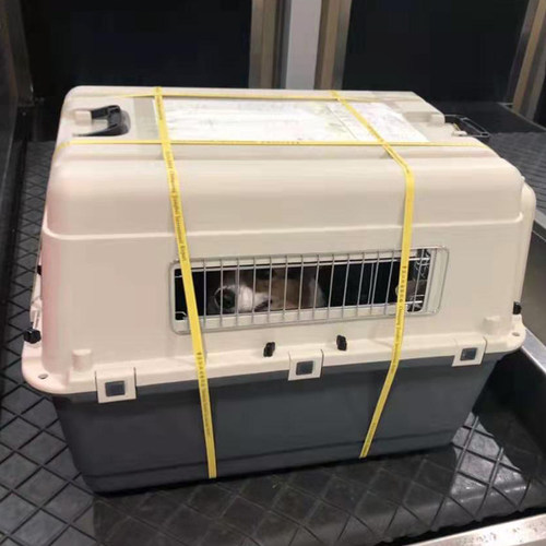宠物航空箱狗狗猫咪旅行箱空运托运箱中大型犬运输猫笼子便携外出