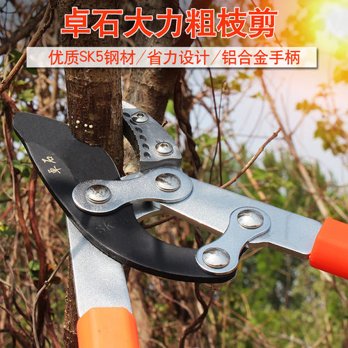 园艺伸缩粗枝剪高枝剪刀大力剪省力园林工具强力修剪树枝果树剪子