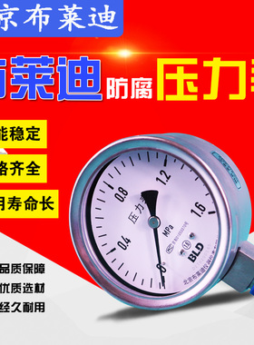 北京布莱迪不锈钢高精度压力表YTH100径向气压水压油压真空表特卖
