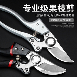 剪枝果树修枝剪刀园艺修剪树枝园林省力修花枝剪家用强力剪子
