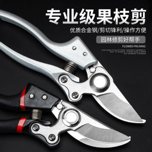 剪枝果树修枝剪刀园艺修剪树枝园林省力修花枝剪家用强力剪子