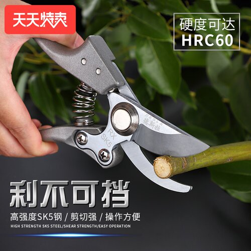 进口SK5钢修枝剪园林果树花艺粗枝花剪省力修剪树枝园艺剪刀剪枝