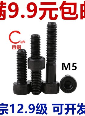 12.9级内六角 杯头螺丝 加长全牙圆柱头螺钉M5*8x10x16x20x30x200