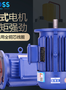 普斯YEb3立式三相异步电机国标铜芯电动机380V搅拌减速机B5马达新