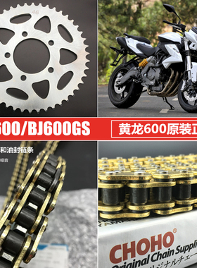 适用于0龙/J600GS/-ABBN6黄0套链征和油封链条大小牙盘链轮黄巡