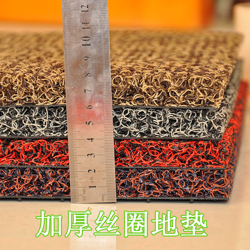 入户门地垫门垫进门门口可裁剪丝圈脚垫家用防滑加厚塑料地毯垫子