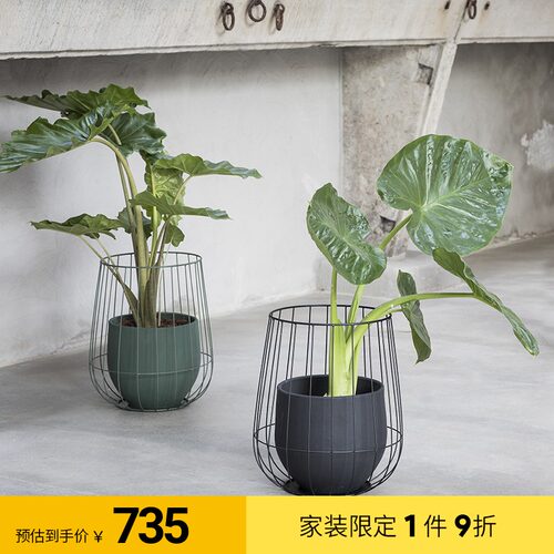 比利时Serax都市丛林系列欧式铁艺花架落地式 客厅植物绿萝花盆架