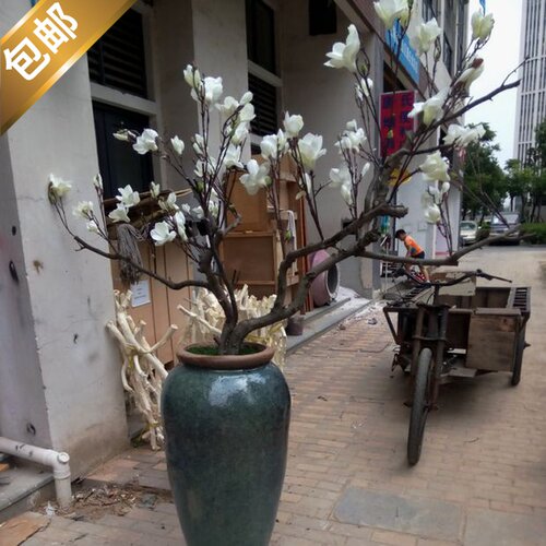 仿真玉兰花造型树落地干树枝装饰客厅枯树橱窗婚庆玄壁挂造景摆件