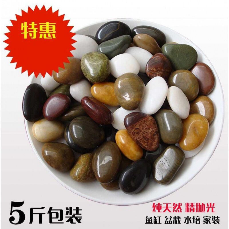 速发雨花石鹅卵石头养花彩小石子乌布鱼缸石景铺底沙盆龟造景装饰