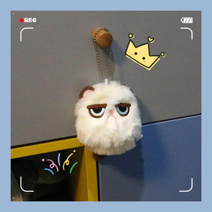 可爱个性不d爽猫咪毛绒包包挂件生气猫公仔小玩具书包挂饰男女礼