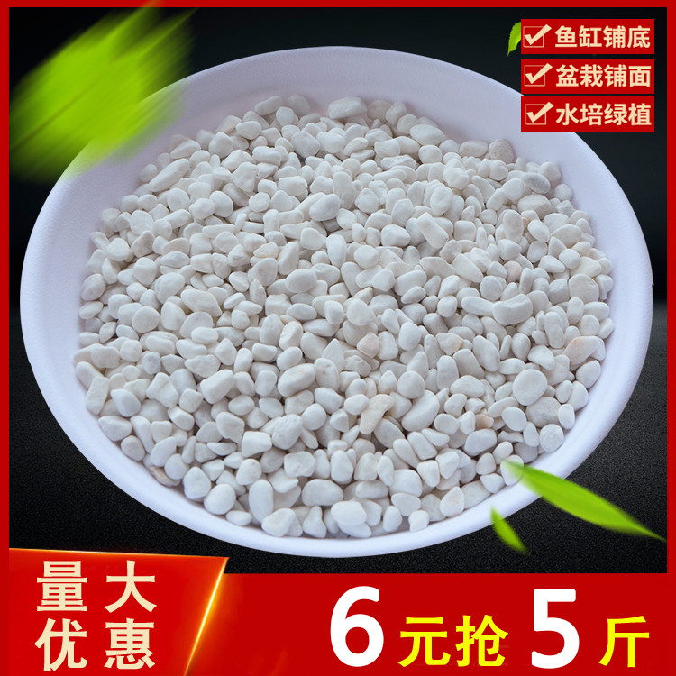 速发鹅卵石小花头雨花盆白色小石子白石子石盆石栽多肉装饰种花铺