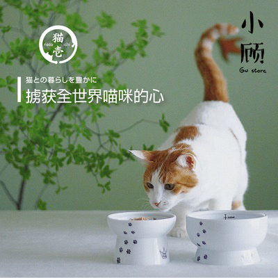 8折 日本 猫壹 necoichi高脚猫碗猫咪水碗保护脊椎宠物碗食盆