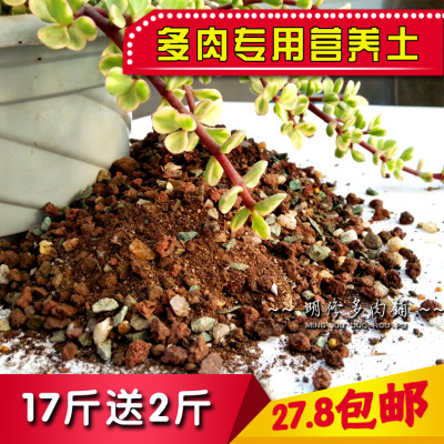 推荐多肉植物颗粒营养包邮土 草炭土火山岩麦饭石蛭石沸石奥绿缓