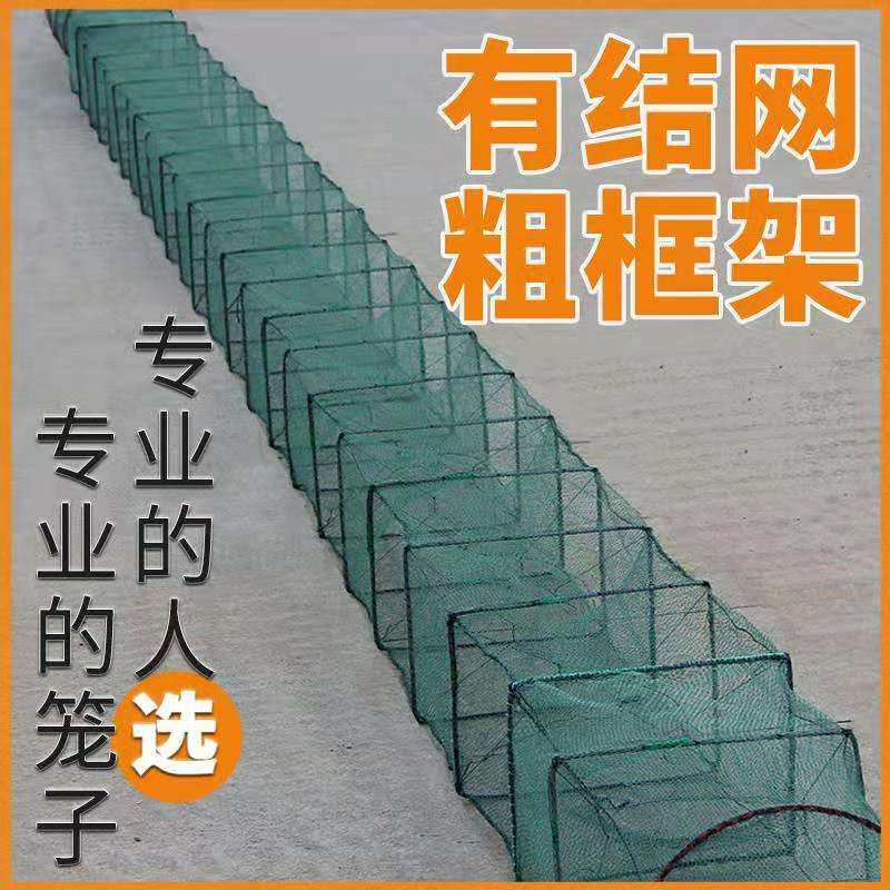 现货虾笼折叠捕虾网大号鱼笼v只进不出加厚抓龙虾捕鱼笼有结螃蟹