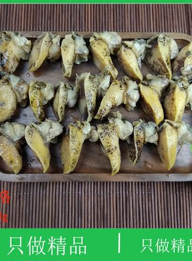 大连特产假鲍鱼甲鲍螺黏螺新鲜超大贝类鲜活纯肉蛾螺海蜗牛老婆脚