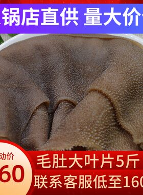 大叶片毛肚新鲜5斤牛百叶火锅食材配菜品重庆毛肚片牛肚千层包邮