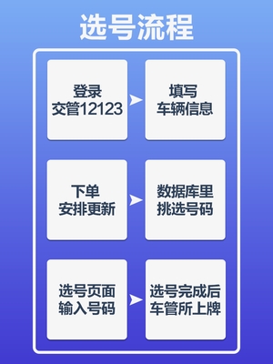 甘肃兰州嘉峪关昌白新能源汽车辆12123自编自选汽车照