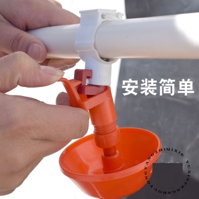 鸭殖场养子养鹅育鸡自动饮水z器饮水器喂水雏用禽用饮水碗配件