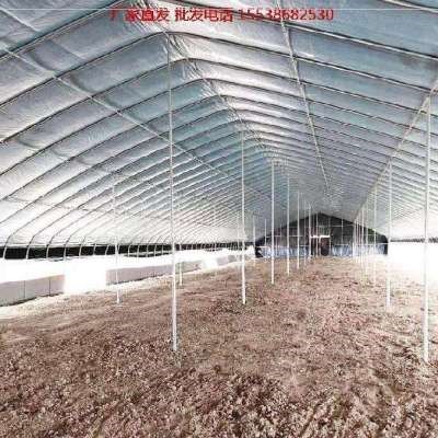 育雏庭院小拱棚养鸡植殖棚养物植物大l圆骨架钢管加厚椭棚型