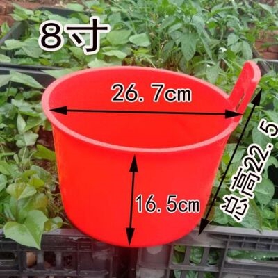 粪勺掏粪瓢 塑料瓢粪大瓜瓢当粪舀g水淋菜 x塑料瓜舀尿勺粪