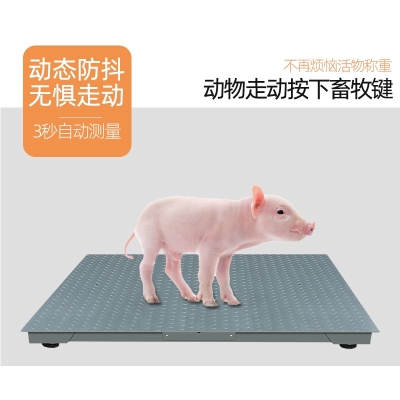 速发1吨电子地磅秤猪过磅牛称动物带围栏称重量粮地泵秤计收秤高