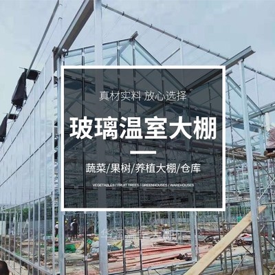 全一吨大骨d架钢管花1种菜玻璃子智能温室蔬菜棚棚架大卉套棚大