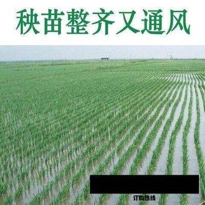 栽新式器大型栽秧插秧机手摇小型苗水稻水田电动T手摇式农用全自l