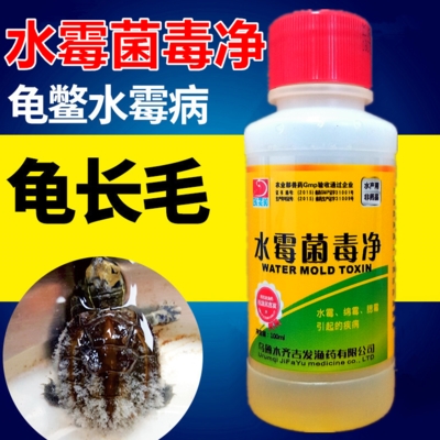 乌龟水霉病水霉j净长毛掉皮水霉菌毒净棉毛状锦鲤观赏
