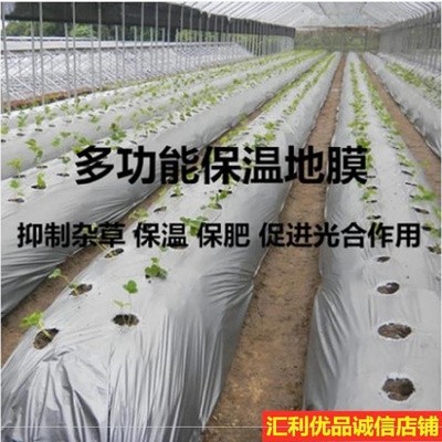 新护膜防霜沙发挡尘果园播种无滴膜E草莓接种保防风塑料布封窗高