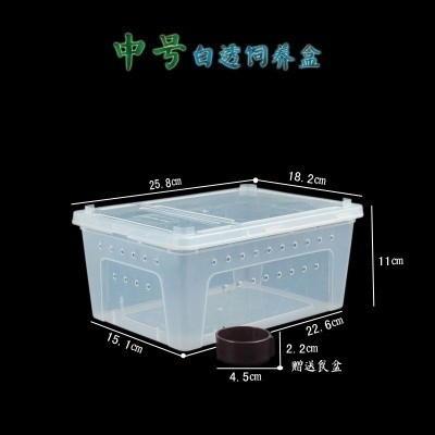 透气透明b养箱面蚯蚓塑料养殖保湿饵专用盒子活高虫饲养红包虫