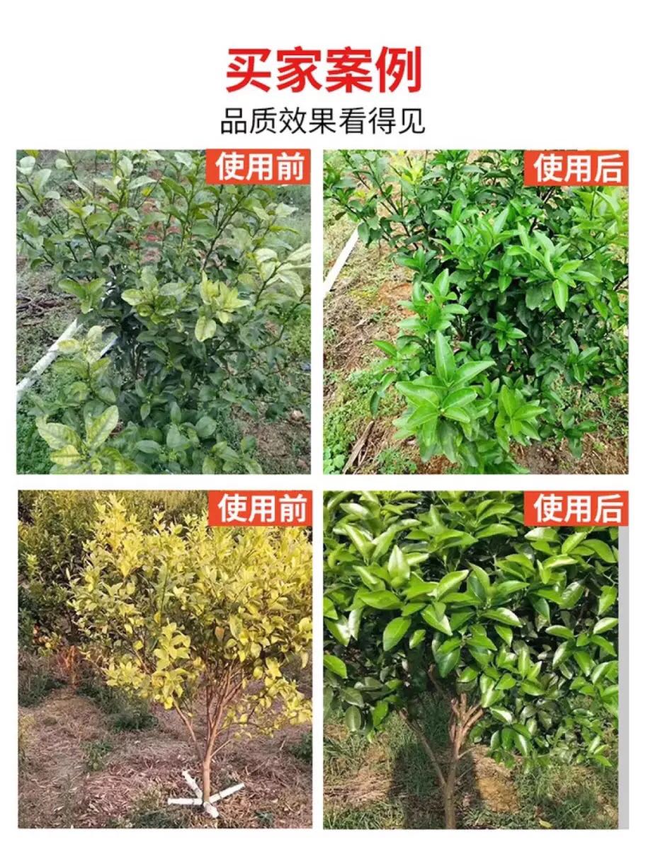 果树黄龙病药泰粉红黑胶囊国脐橙柑橘柚果盐w酸四环素