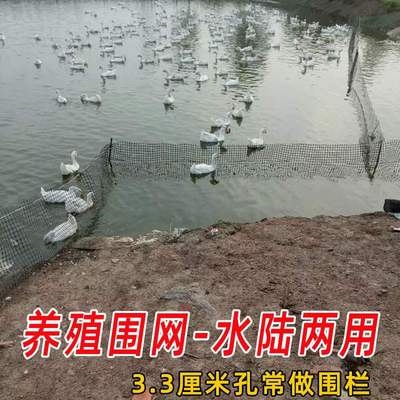 新品 养鸡鸭围拦围鸡网防鸡网养殖围G网阳台塑料网围墙护栏防定制