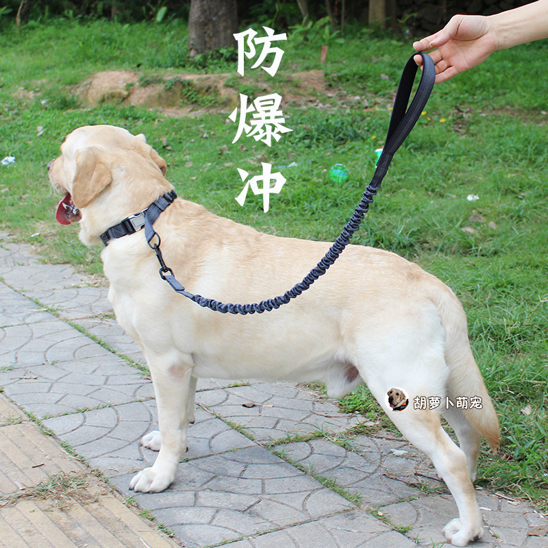 速发防爆手不勒冲金布拉多拉毛中大型犬狗链钢扣柔软脖圈可调节