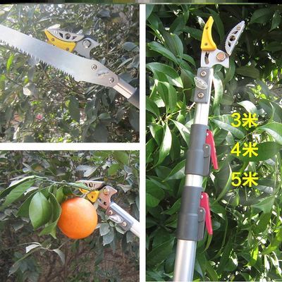 龙眼夹子水果摘龙眼荔枝芒神器收采桂圆花椒工具高空剪伸缩摘果器