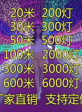 led户外小彩灯闪灯串灯满天星七彩变色霓虹灯圣诞春节过年装饰灯