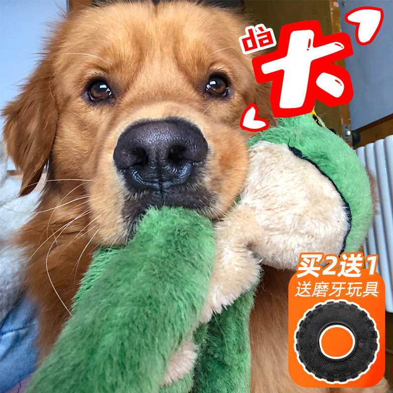 速发p玩具解闷神器耐幼磨牙发声金犬咬毛边牧大型犬用品