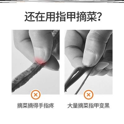 摘花椒的神器指甲拇指刀手套摘菜采摘器疏果农业桑叶家用大母子