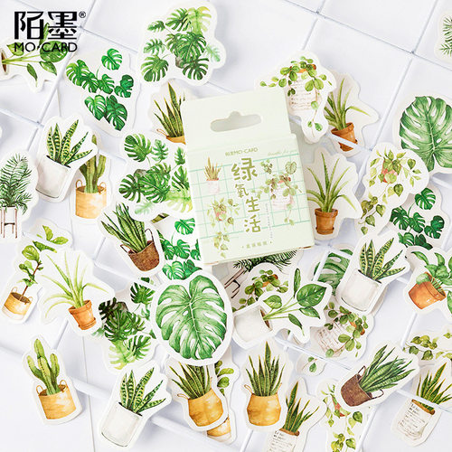 极速45 pcs/pack Green Oxygen Life  DecoratWive Stat