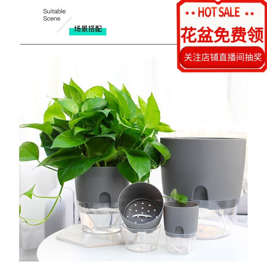 速发约形大口径塑料加厚人吸水懒自花盆绿萝花盆包邮简圆创意摆件