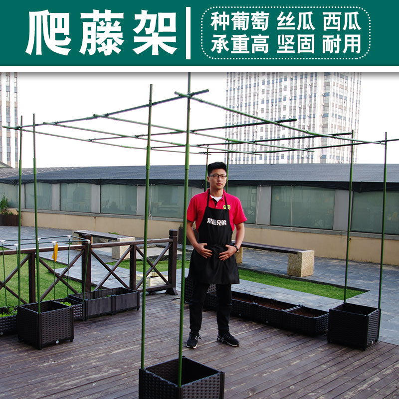 速发户外葡萄架子百香果爬藤架支塑钢管爬藤包架丝架架子蔷薇攀爬