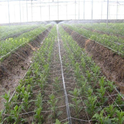 速发滴管喷喷寸1农用喷灌软管水管喷灌微水带2配件pe滴带微塑料