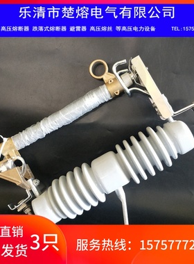 极速RW12-15KV/100A200A变压器户外高压跌落式保险熔Y断器令克开