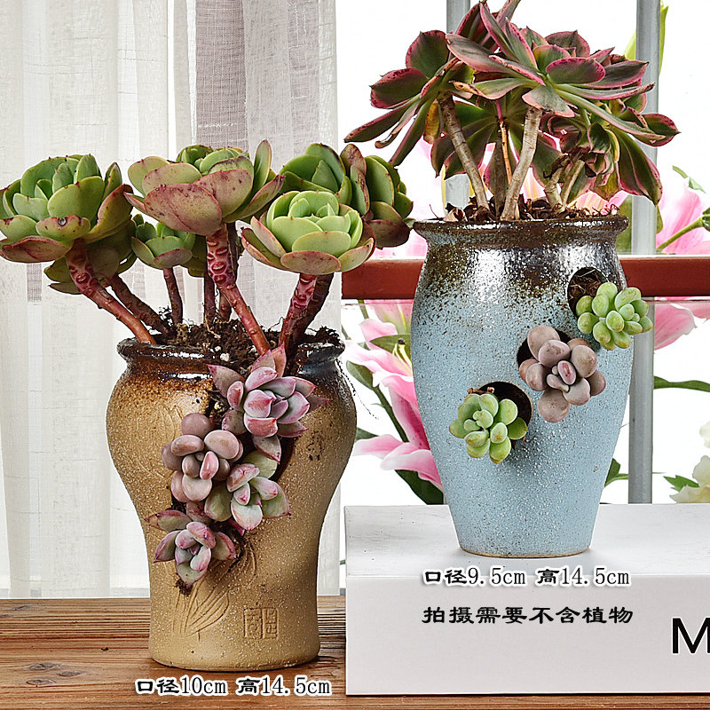 速发创意花肉花盆开洞破缺口老多陶瓷大号桩肉植物多盆粗陶悬崖桩