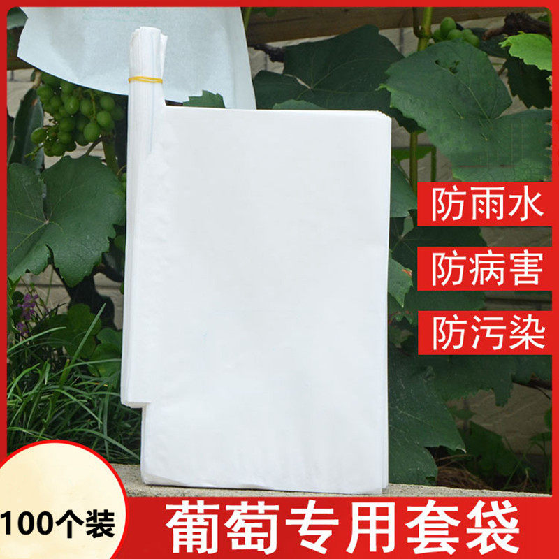 速发白色全木防葡萄套鸟葡萄袋葡萄果袋浆水防虫带防袋带铁丝气孔
