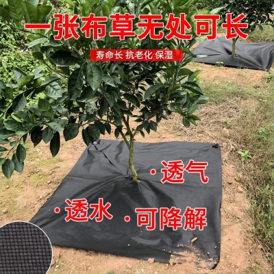 速发防草气除草布耐用果园除草地布盖草布农用新布果树透型生态园