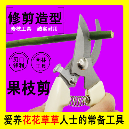 园林工具园丁剪花枝修剪树枝剪刀果枝剪修花剪刀园林园艺剪刀