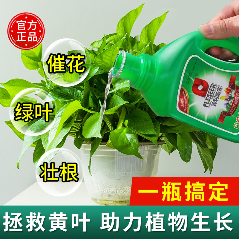 速发绿萝营料液物植通用型水培专用肥养富贵竹铜钱草白掌花有机营